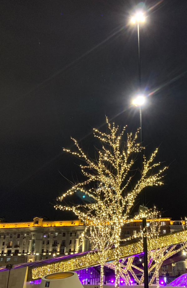 Павелюга | Сетка — социальная сеть от hh.ru