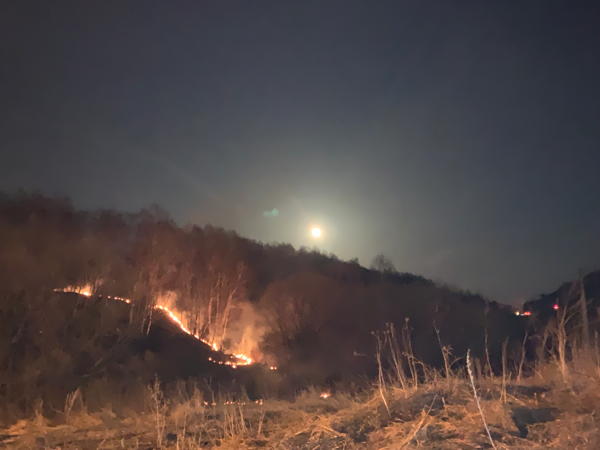 Московская область. Горят леса и луга по весне. | Сетка — социальная сеть от hh.ru