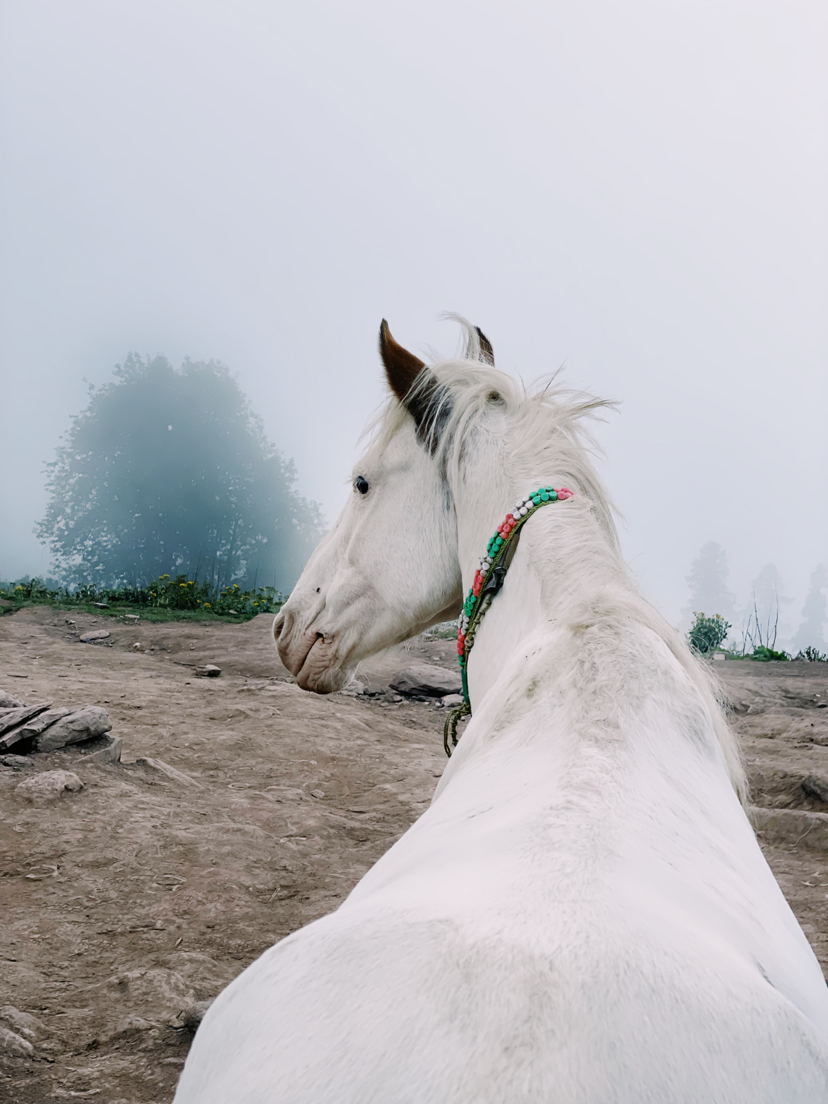 Отпуск в Пакистане | Сетка — социальная сеть от hh.ru