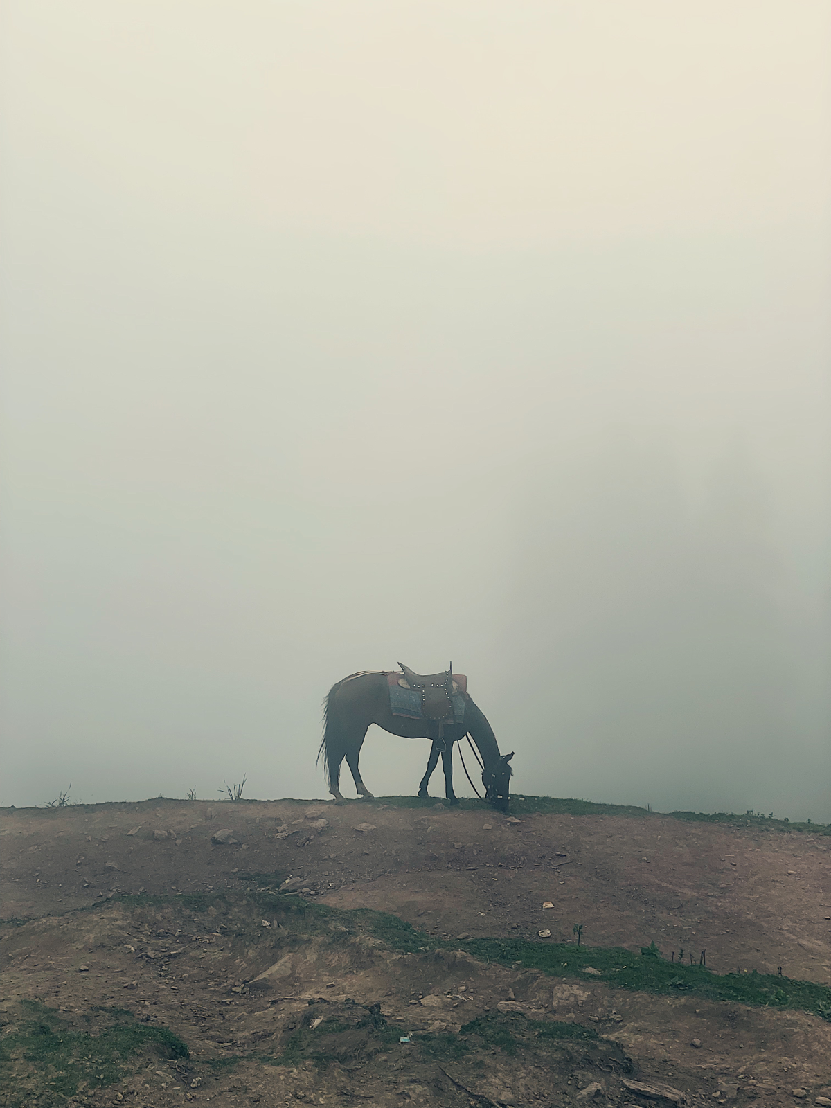 Отпуск в Пакистане | Сетка — социальная сеть от hh.ru