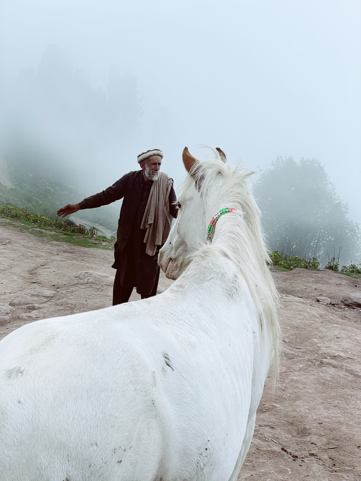Отпуск в Пакистане | Сетка — социальная сеть от hh.ru