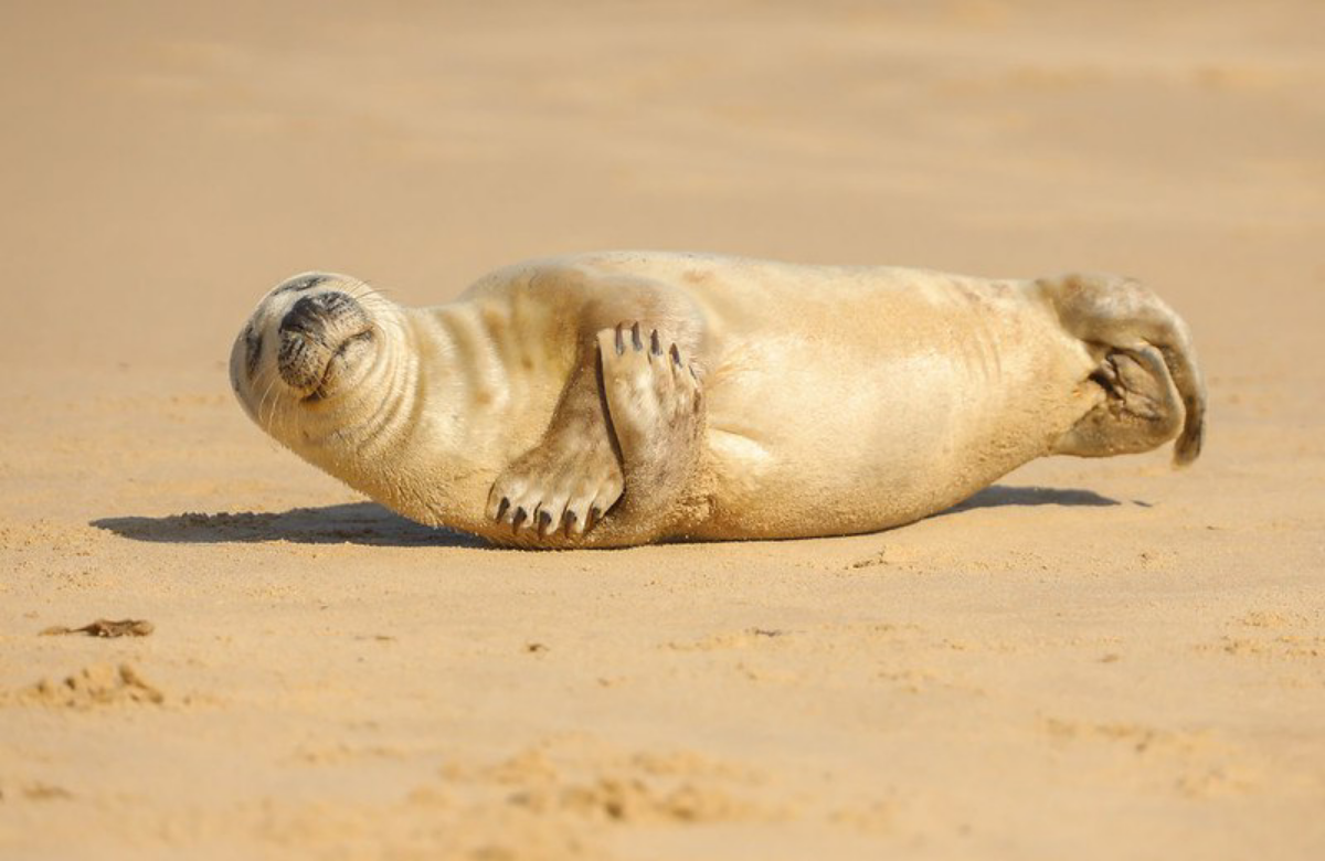 Осознанность в тренде: обучаться духовным практикам сегодня можно даже в приложениях для смартфона. Осознанность для продуктивности, осознанность для зарабатывания денег, осознанность для армии | Сетка — социальная сеть от hh.ru