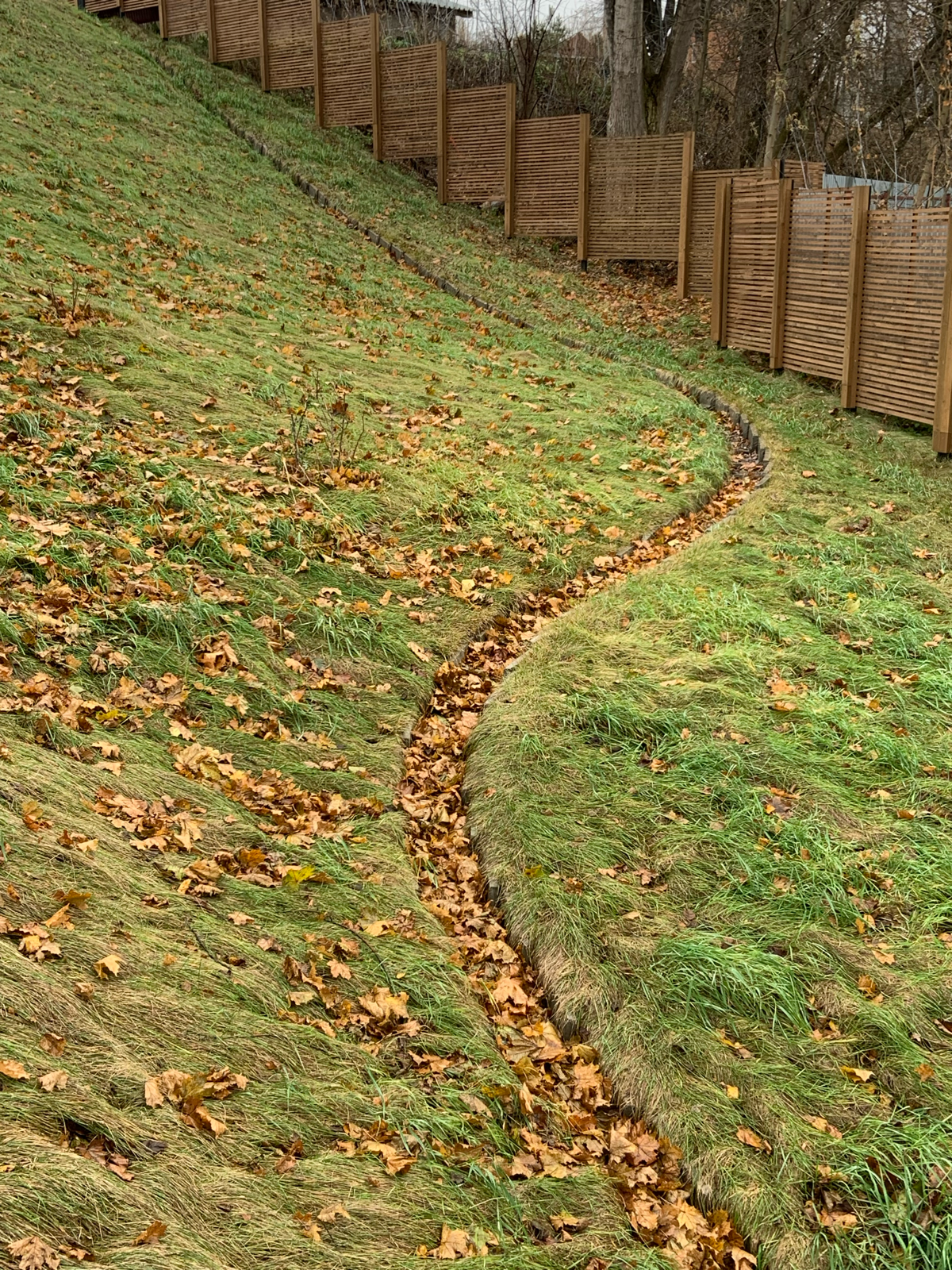 В последнее время в Подмосковье много внимания уделяется городскому благоустройству. Пешеходные зоны, парки, набережные | Сетка — социальная сеть от hh.ru