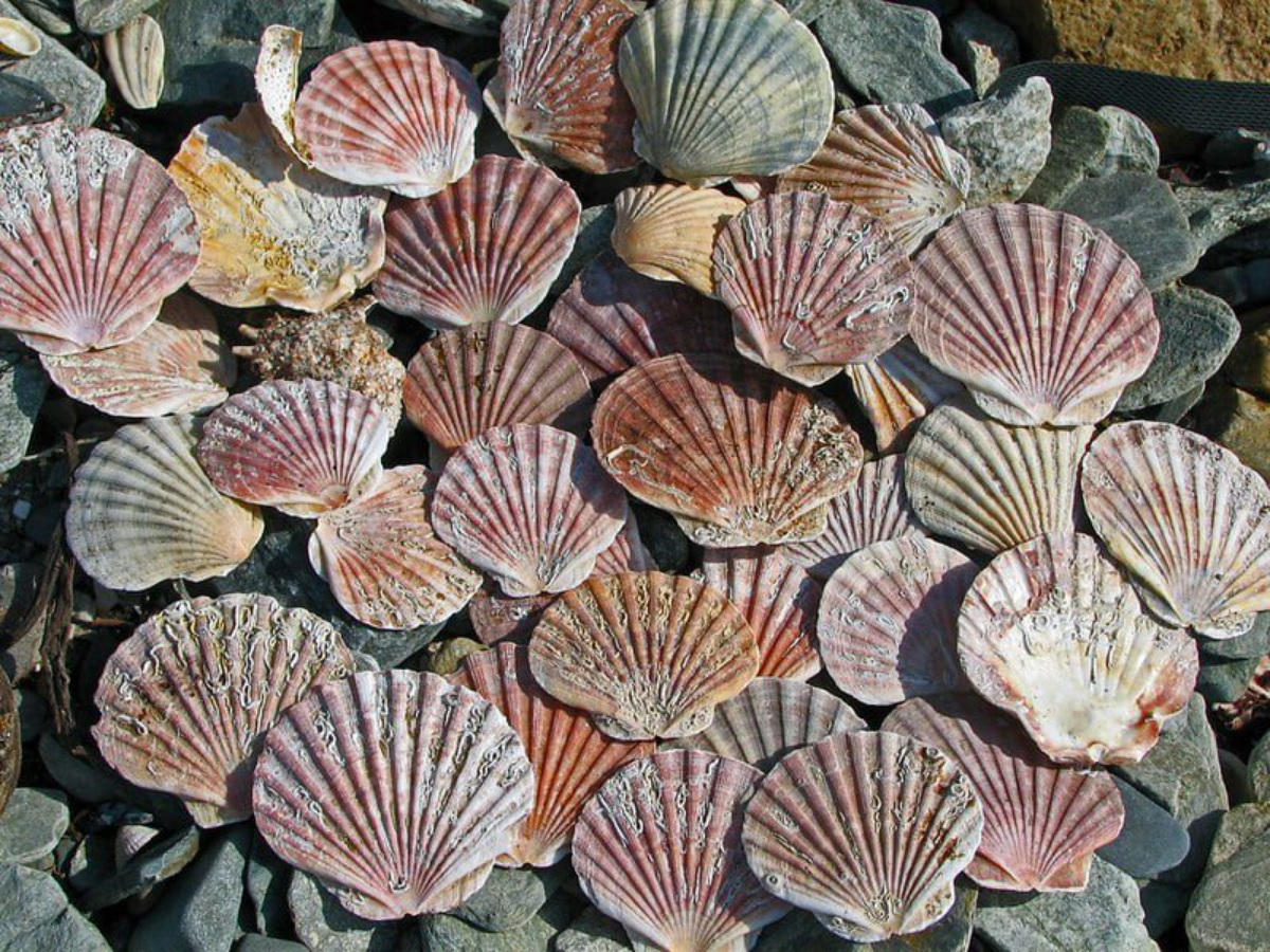 Антропоцентризм вредит науке | Сетка — социальная сеть от hh.ru