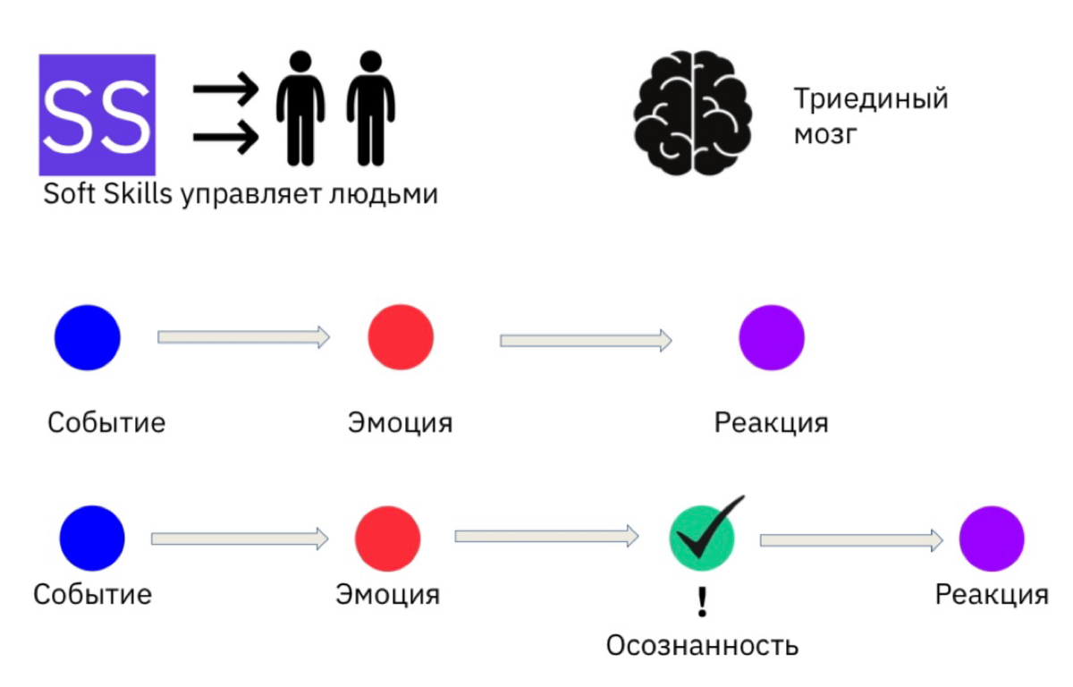 Soft skills или «мягкие навыки» для продакта и жизни | Сетка — социальная сеть от hh.ru