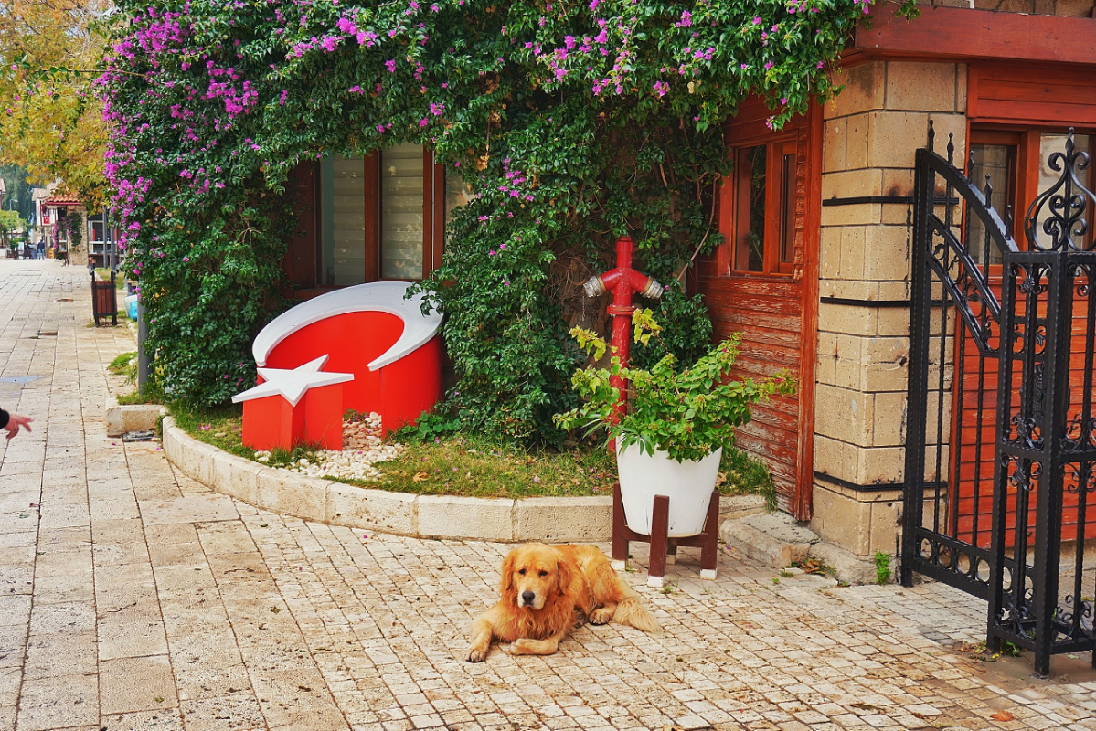 Турция - яркая и такая домашняя! | Сетка — социальная сеть от hh.ru