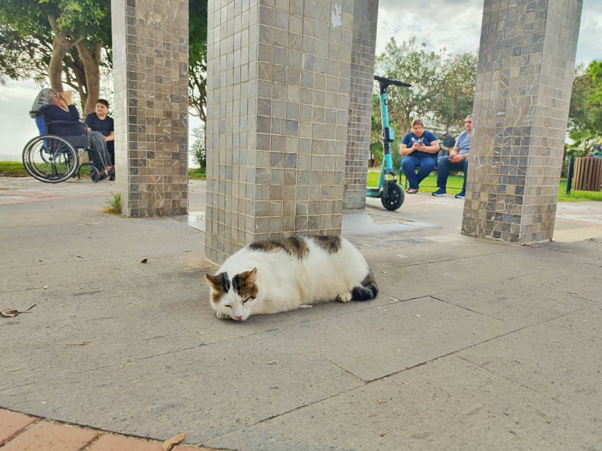Турция - яркая и такая домашняя! | Сетка — социальная сеть от hh.ru