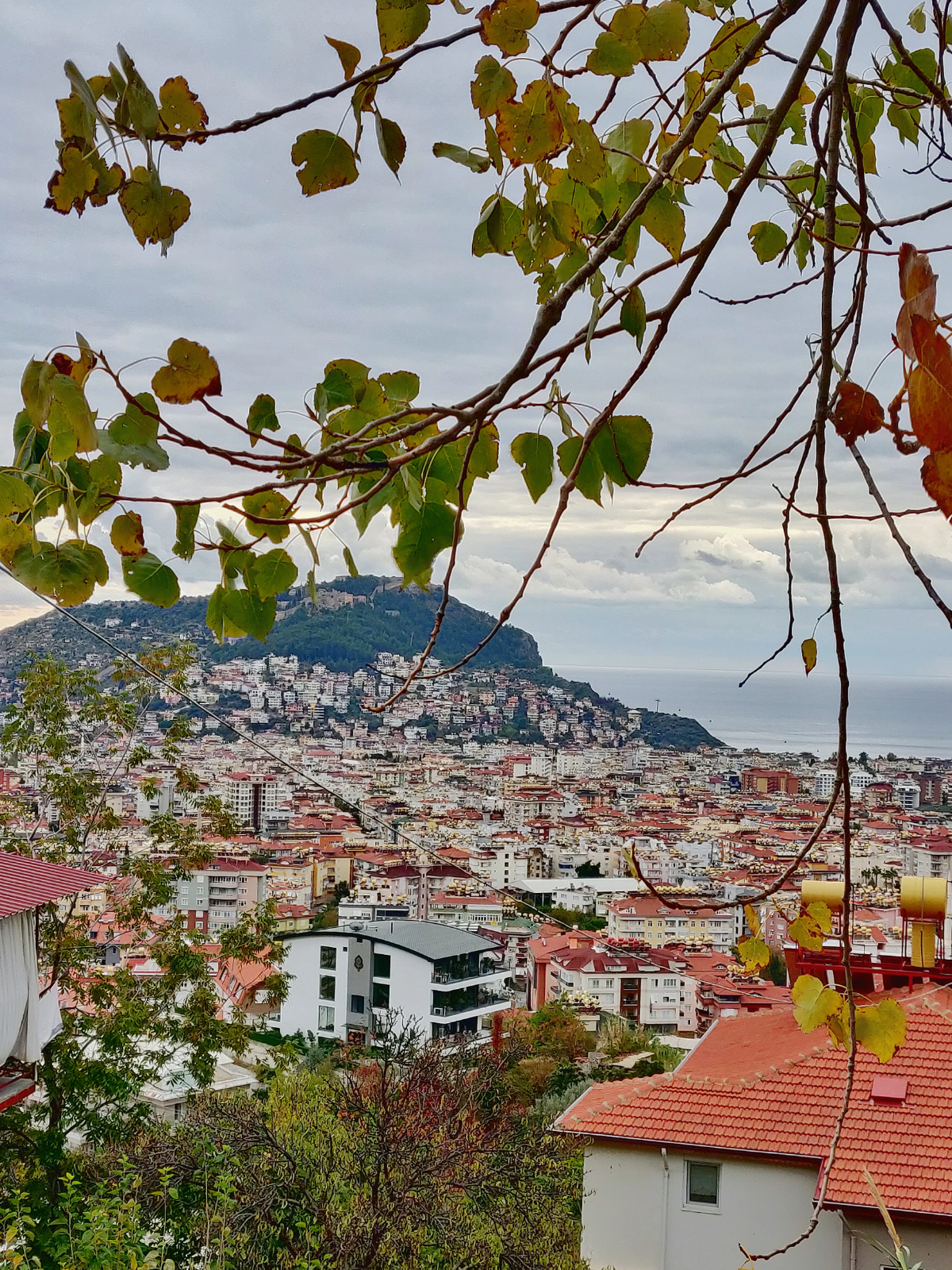 Турция - яркая и такая домашняя! | Сетка — социальная сеть от hh.ru