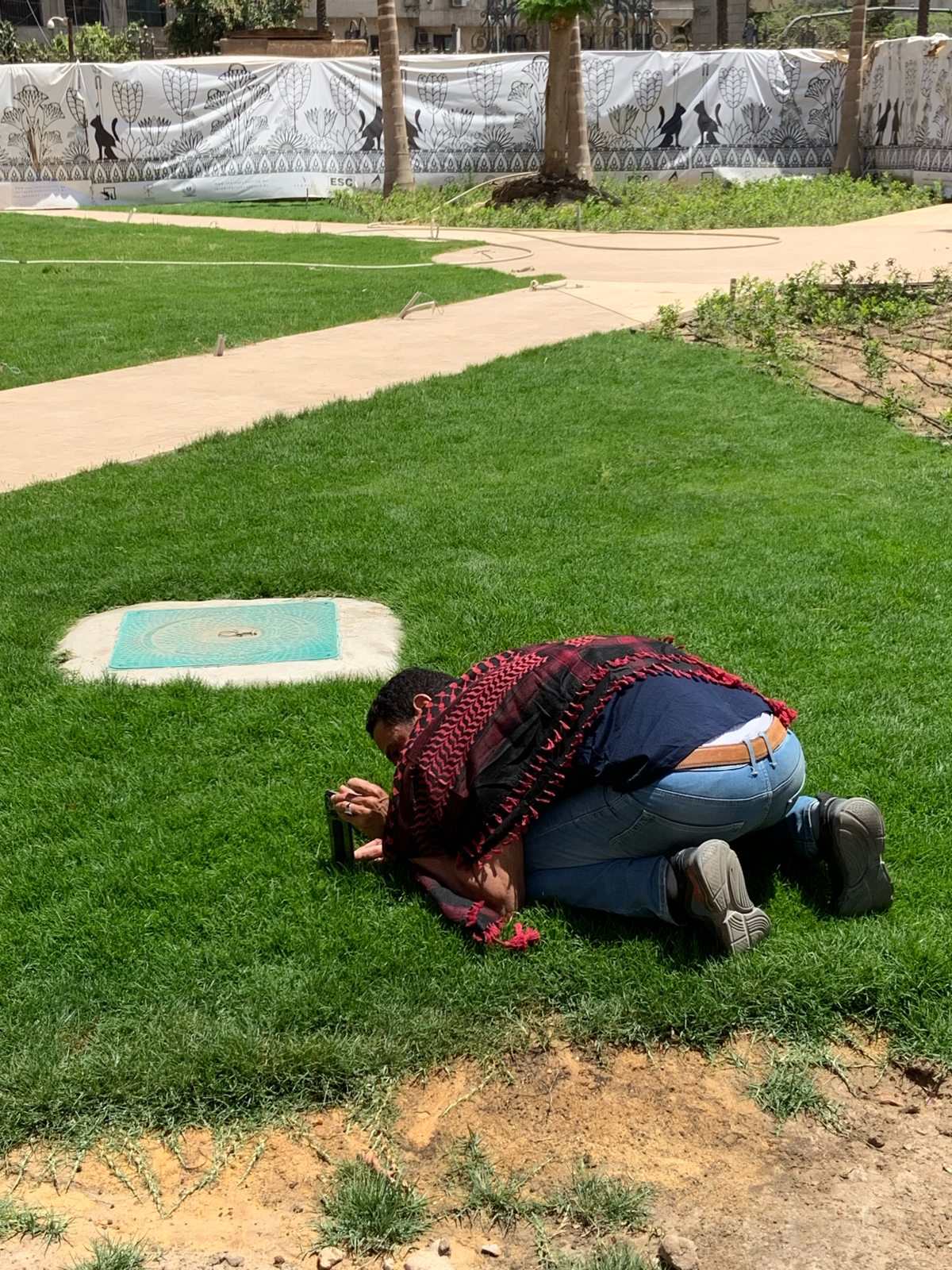 Угадайте, что делает правоверный мусульманин в центре Каира?) | Сетка — социальная сеть от hh.ru