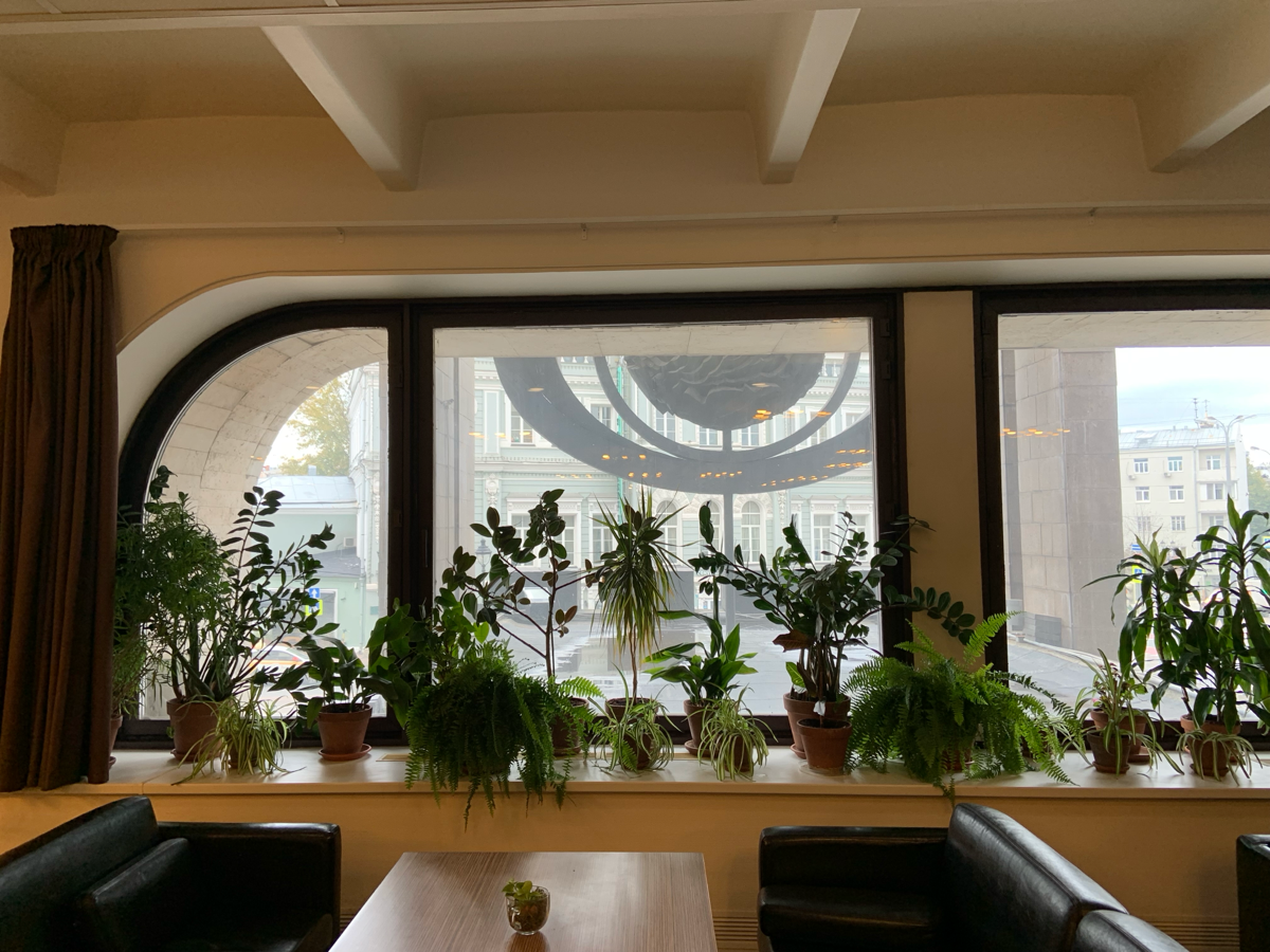 Прекрасная кафешечка «Полвторого» в ТАССе. Название креативное - кафе находится на половине пути между первым и вторым этажом) | Сетка — социальная сеть от hh.ru