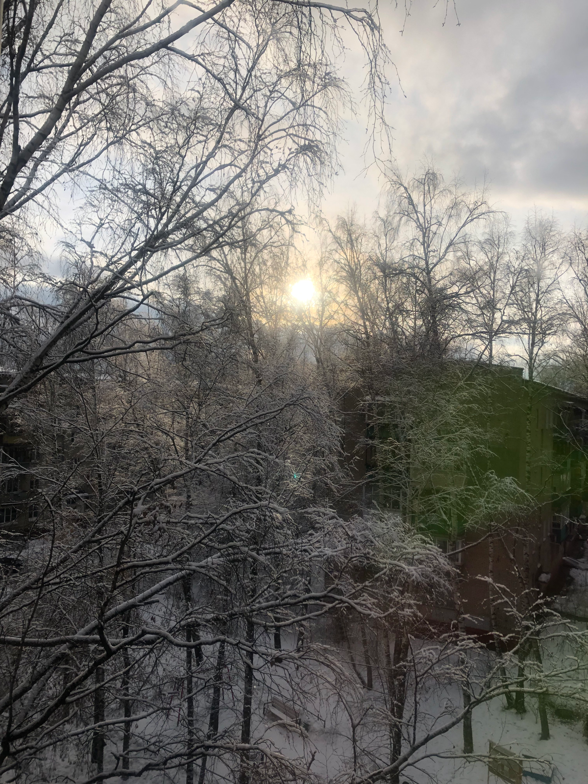 Морозкоо | Сетка — социальная сеть от hh.ru