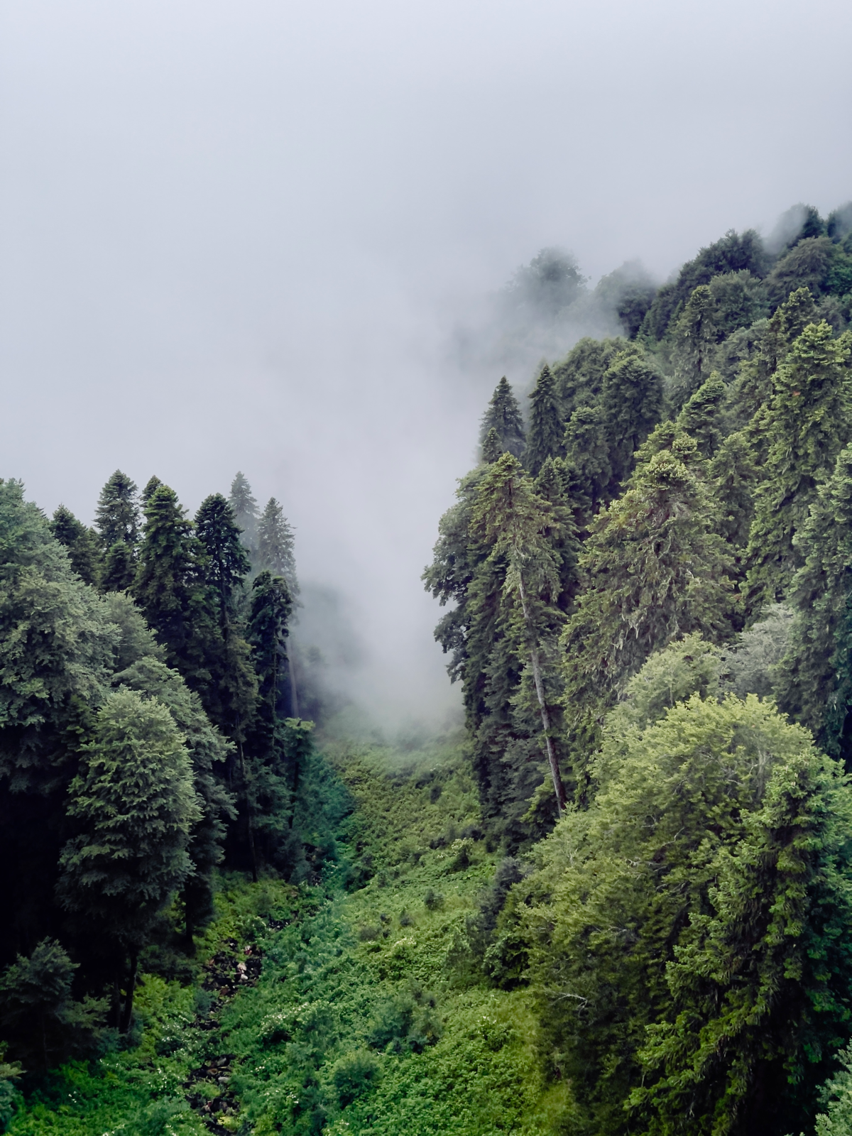Красная поляна. Шикарные виды во время поездки на канатной дороге. | Сетка — социальная сеть от hh.ru