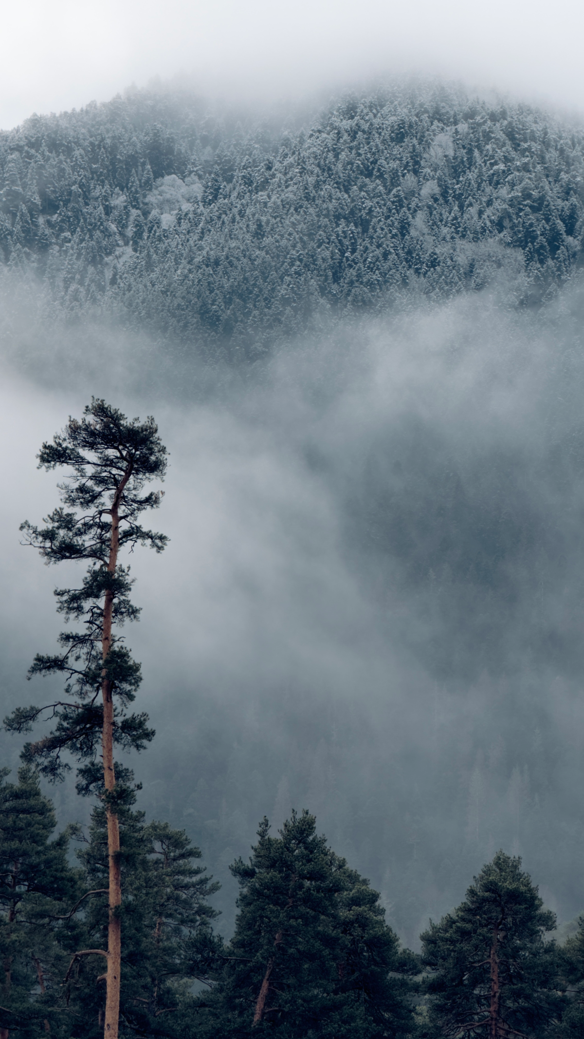 Немного гор Архыза. | Сетка — социальная сеть от hh.ru