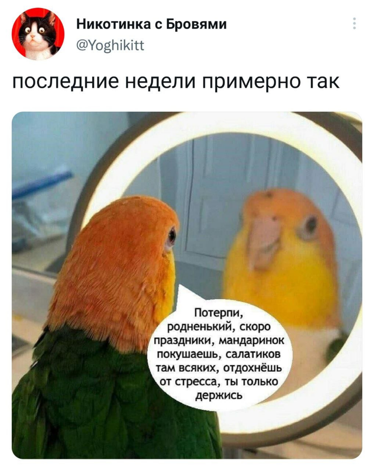 Есть кто живой?после этого октября-декабря нужен тур в санаторий | Сетка — социальная сеть от hh.ru