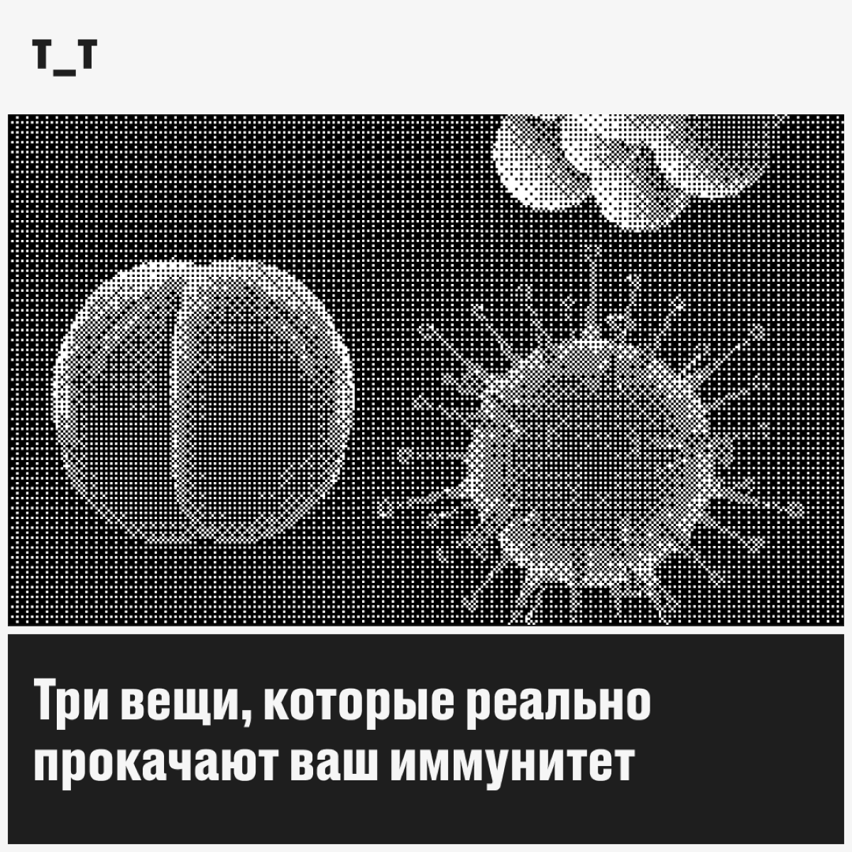 Интересный факт: если вы живы, у вас нормальный иммунитет. Смело откладывайте шот из аскорбинки и уверенно скажите «нет» фармацевту с пузырьком эхинацеи в руках | Сетка — социальная сеть от hh.ru