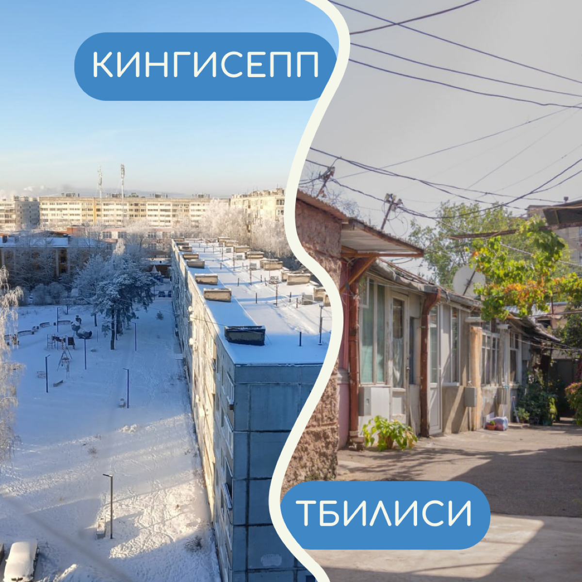 В релокации бывает сложно привыкнуть ко многим вещам — особенно к тому, как меняется вид из окна. Собрали в карточки фото дворов от релокантов из разных уголков мира | Сетка — социальная сеть от hh.ru