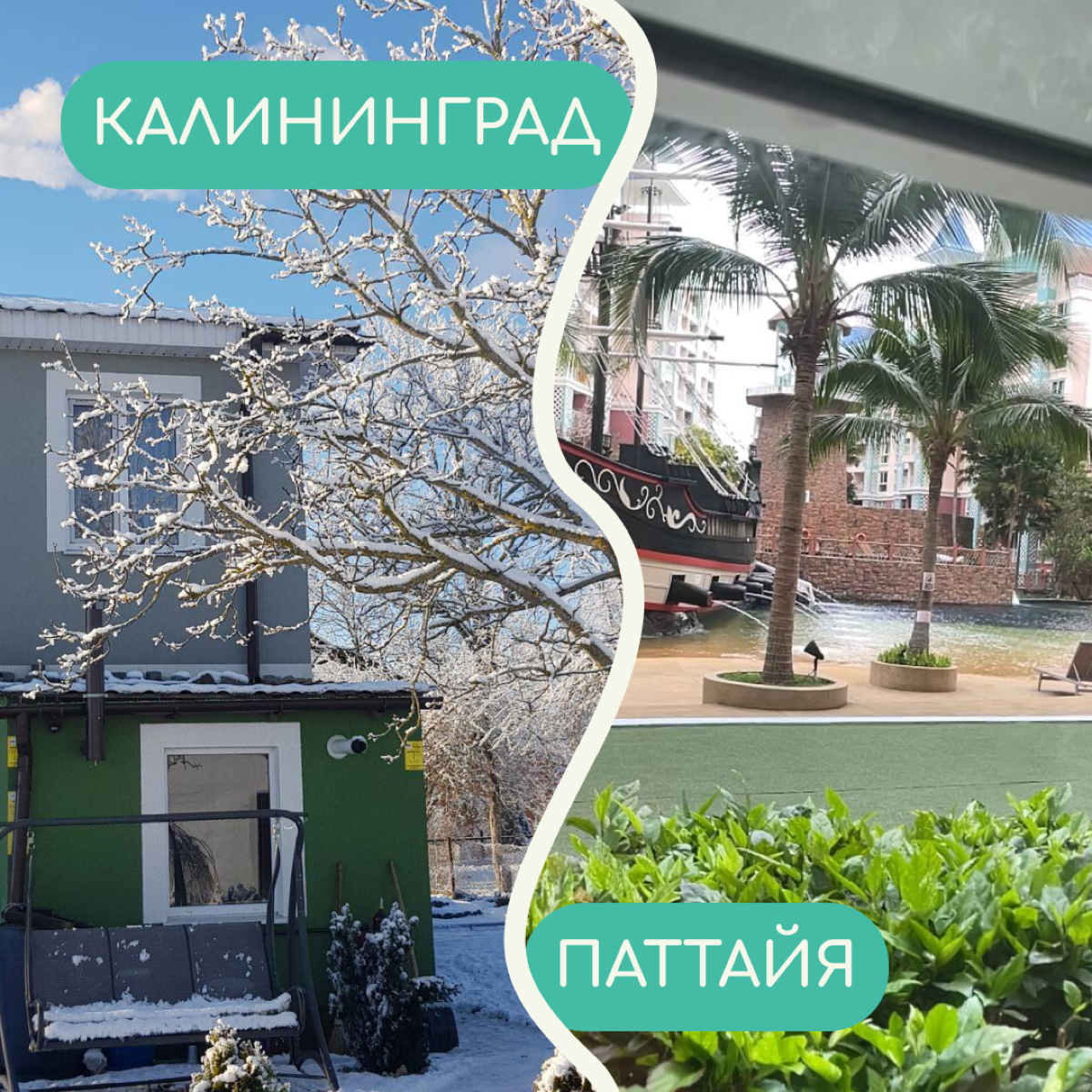 В релокации бывает сложно привыкнуть ко многим вещам — особенно к тому, как меняется вид из окна. Собрали в карточки фото дворов от релокантов из разных уголков мира | Сетка — социальная сеть от hh.ru