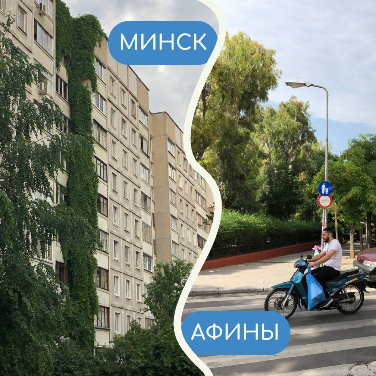 В релокации бывает сложно привыкнуть ко многим вещам — особенно к тому, как меняется вид из окна. Собрали в карточки фото дворов от релокантов из разных уголков мира | Сетка — социальная сеть от hh.ru