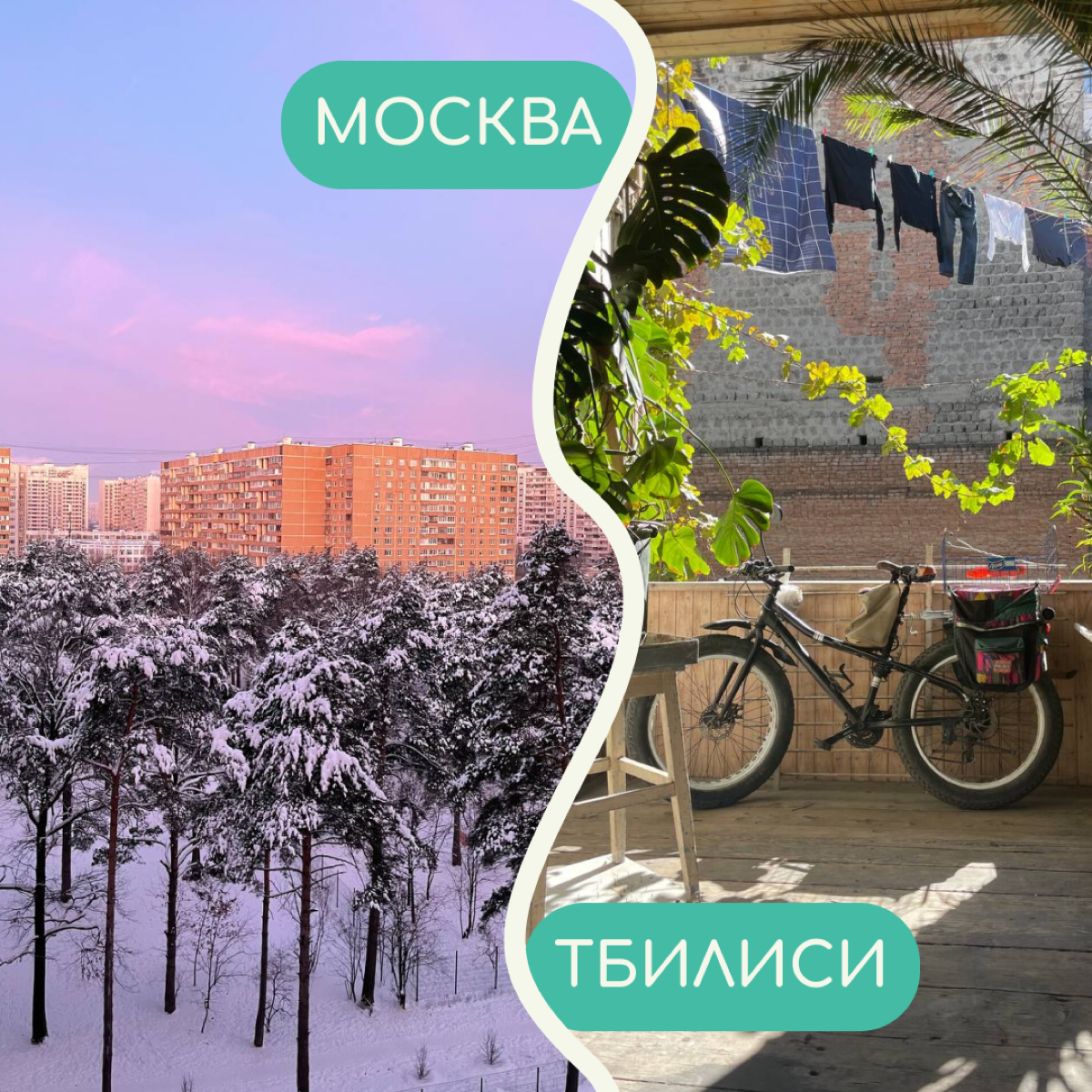 В релокации бывает сложно привыкнуть ко многим вещам — особенно к тому, как меняется вид из окна. Собрали в карточки фото дворов от релокантов из разных уголков мира | Сетка — социальная сеть от hh.ru