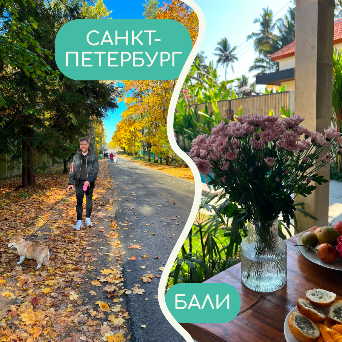 В релокации бывает сложно привыкнуть ко многим вещам — особенно к тому, как меняется вид из окна. Собрали в карточки фото дворов от релокантов из разных уголков мира | Сетка — социальная сеть от hh.ru