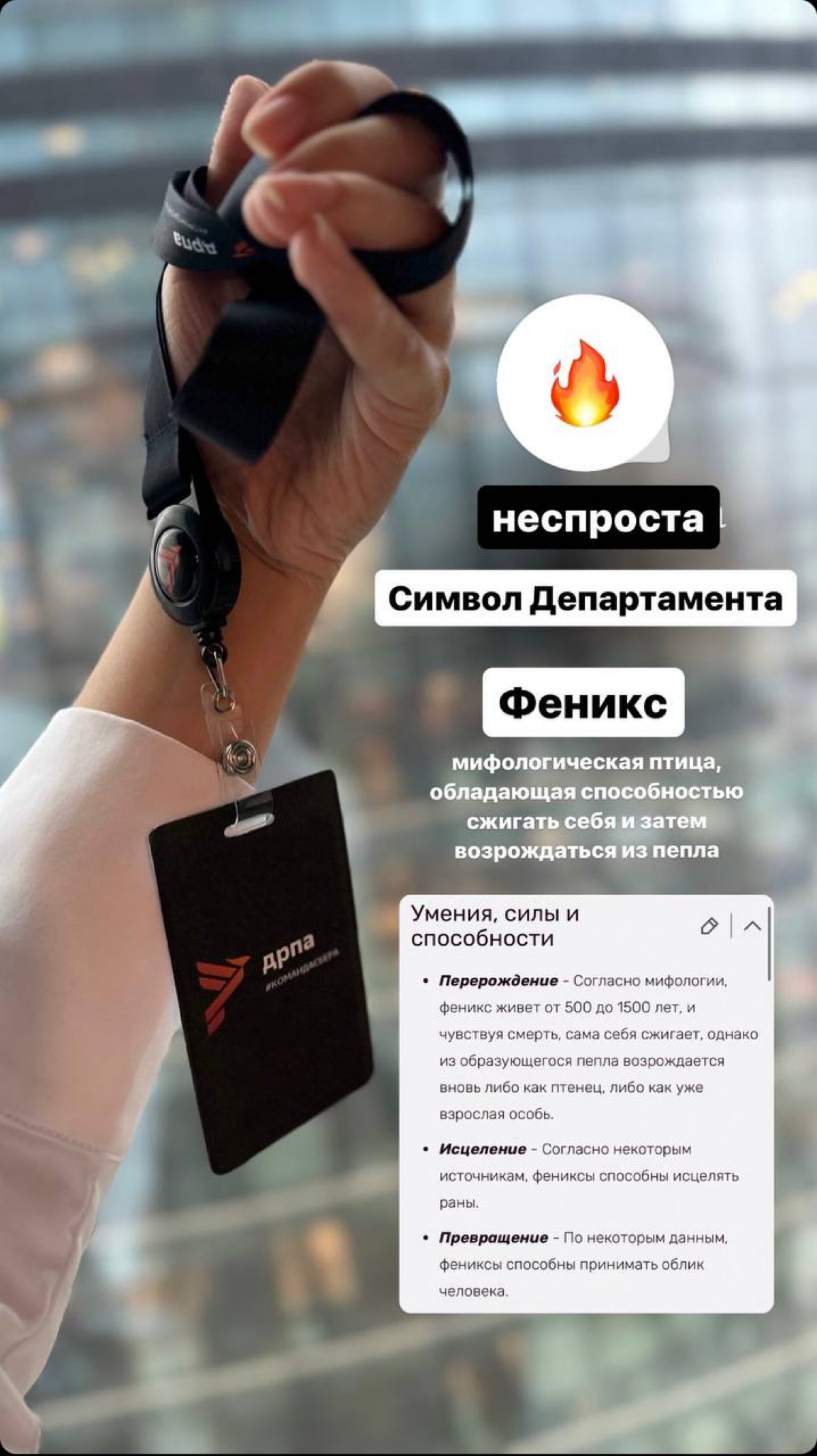 А чем ты вообще занимаешься? | Сетка — социальная сеть от hh.ru