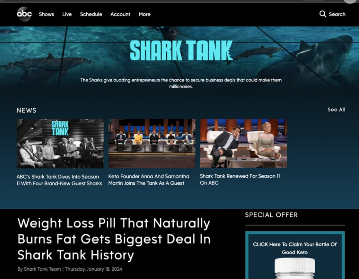 Sharks attack Google | Сетка — социальная сеть от hh.ru