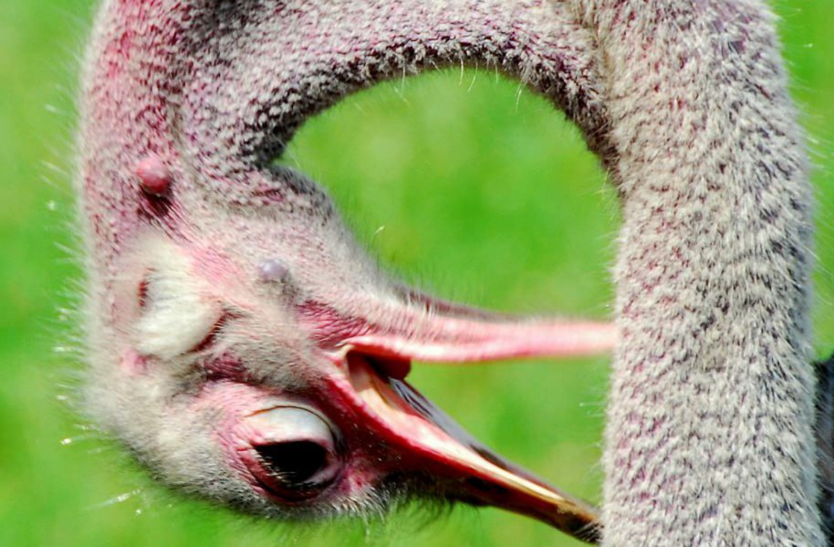 Почему онлайн-контент становится все более растянутым | Сетка — социальная сеть от hh.ru