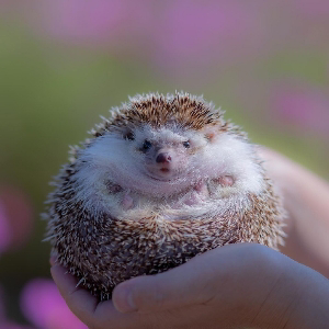 Наталья Митина