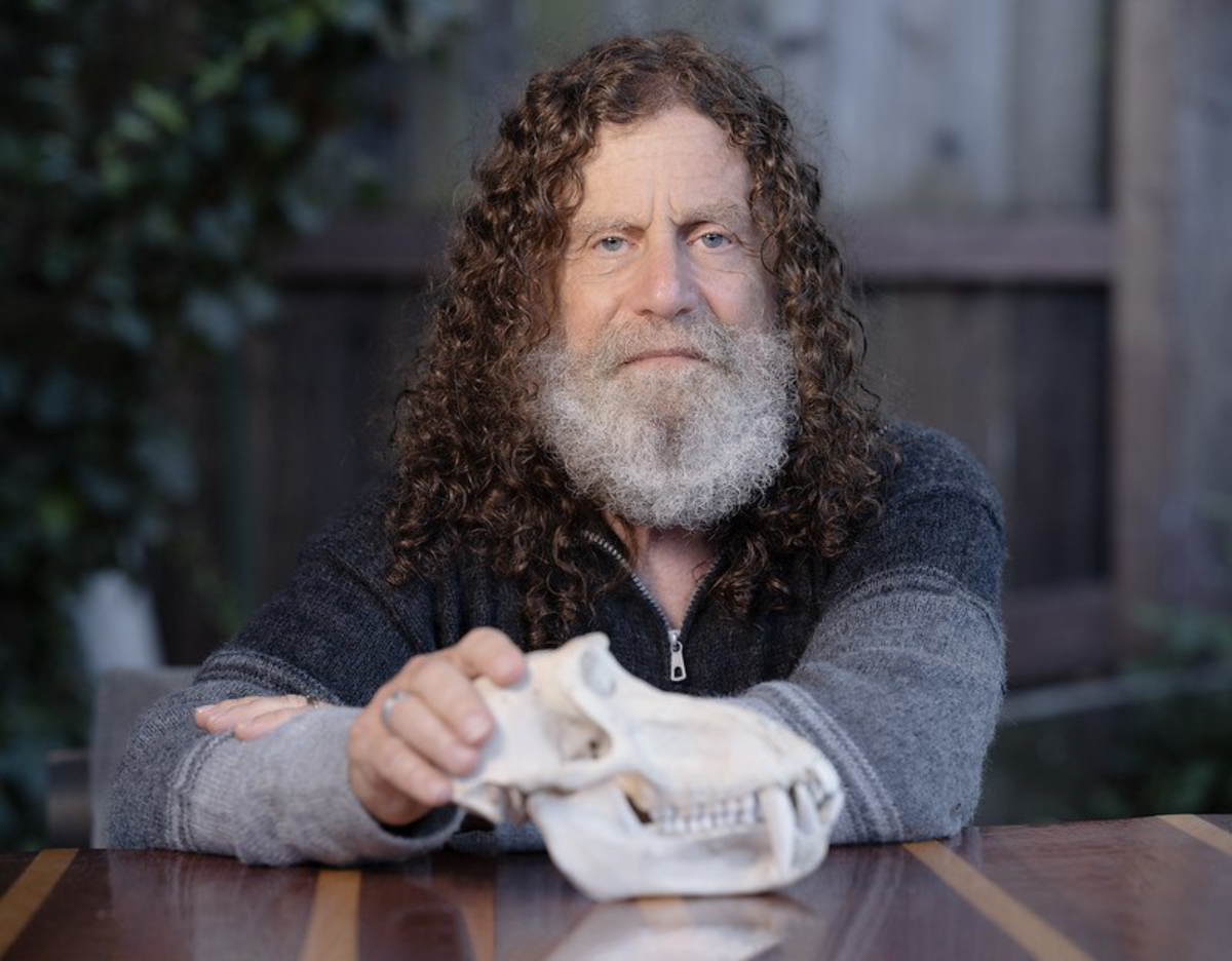 Головоломка воли: два мнения о свободе выбора | Сетка — социальная сеть от hh.ru