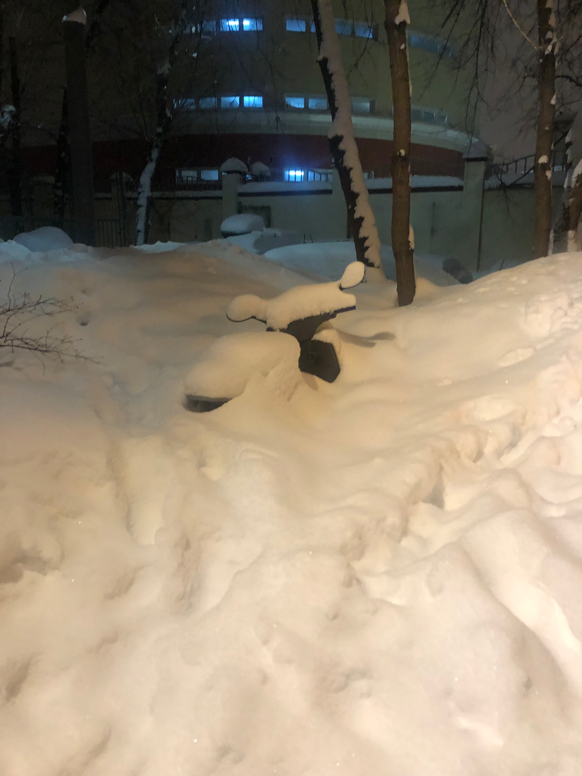 Да-да, это мотоцикл | Сетка — социальная сеть от hh.ru