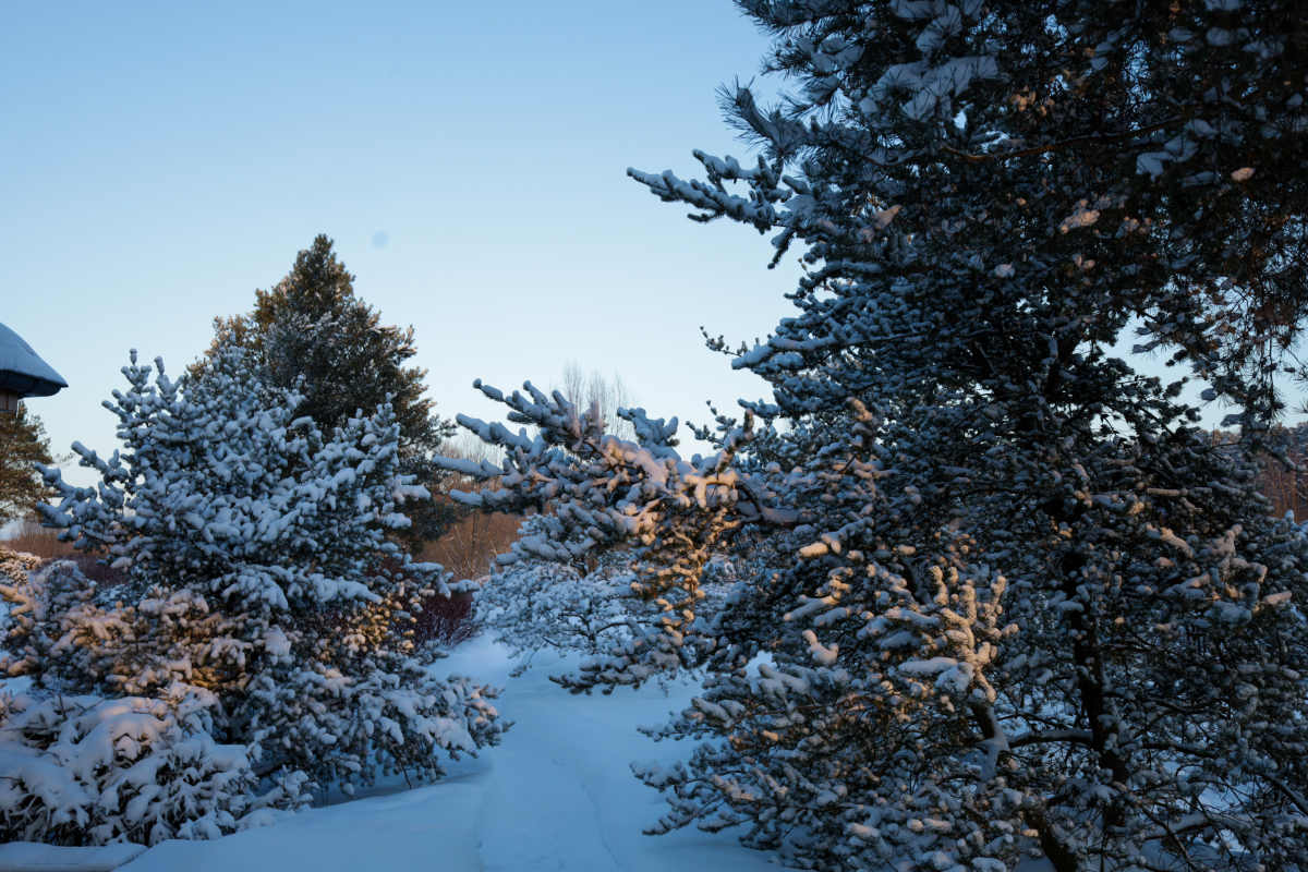 Зима, зима, зима 🤍 | Сетка — социальная сеть от hh.ru