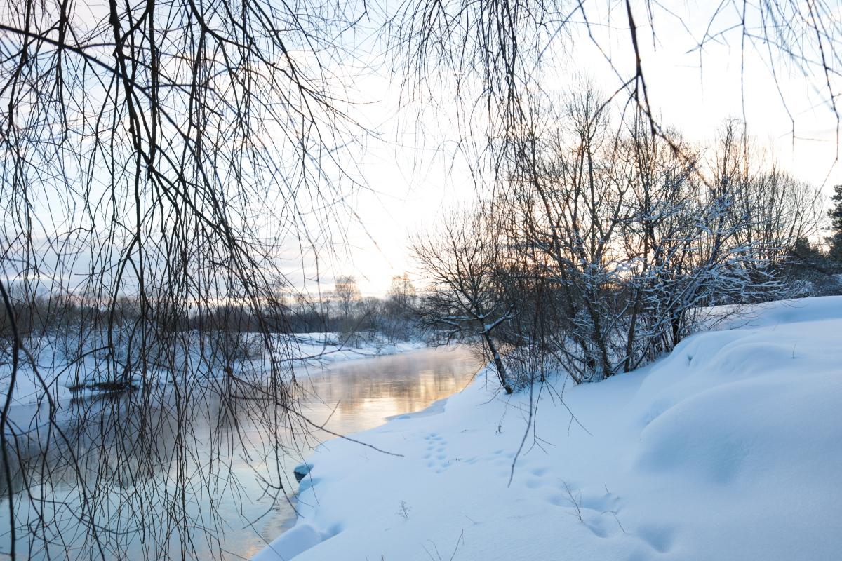 Зима, зима, зима 🤍 | Сетка — социальная сеть от hh.ru