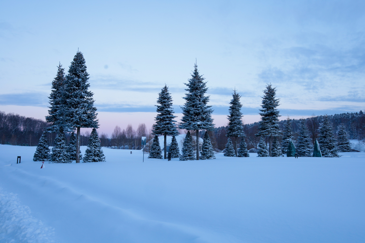 Зима, зима, зима 🤍 | Сетка — социальная сеть от hh.ru