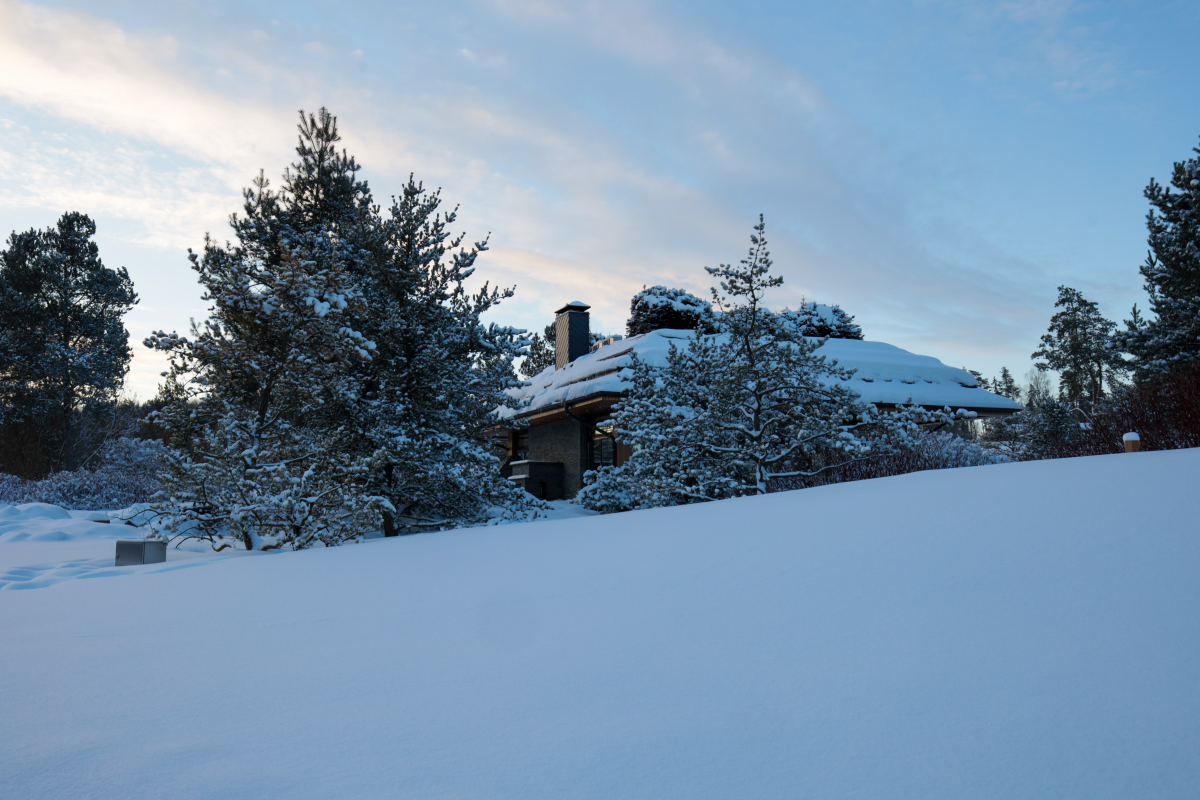 Зима, зима, зима 🤍 | Сетка — социальная сеть от hh.ru