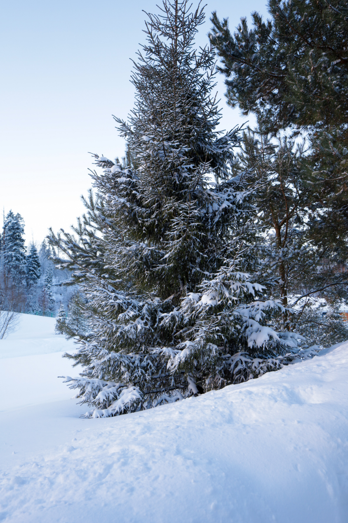 Зима, зима, зима 🤍 | Сетка — социальная сеть от hh.ru