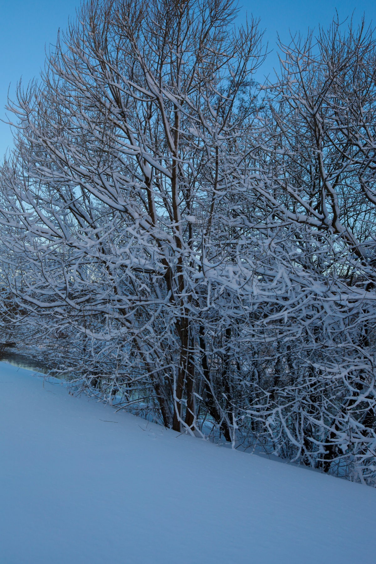Зима, зима, зима 🤍 | Сетка — социальная сеть от hh.ru
