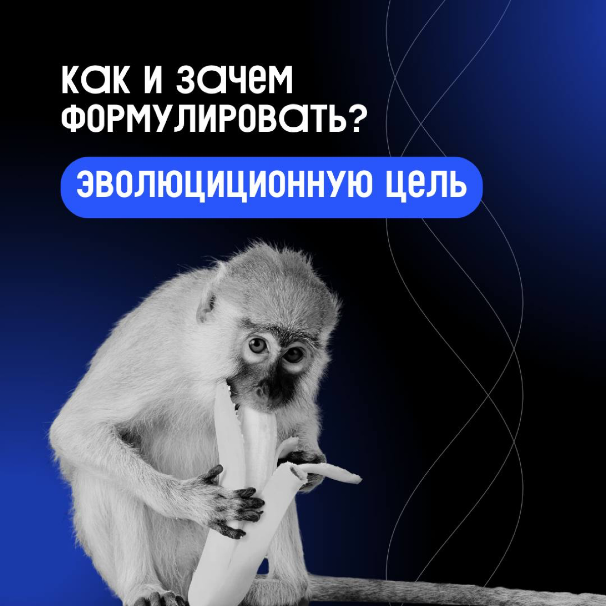 «А что мы вообще делаем?»
Начинаем знакомство с Клиентократией. Первый инструмент, который поможет задать нужный вектор компании и отладить процессы — эволюционная цель | Сетка — социальная сеть от hh.ru