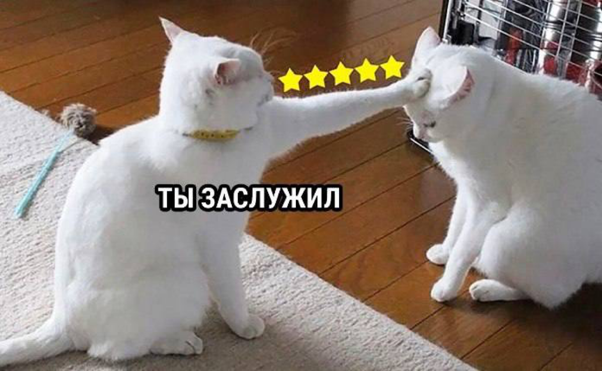 Первые пять постов в блоге | Сетка — социальная сеть от hh.ru