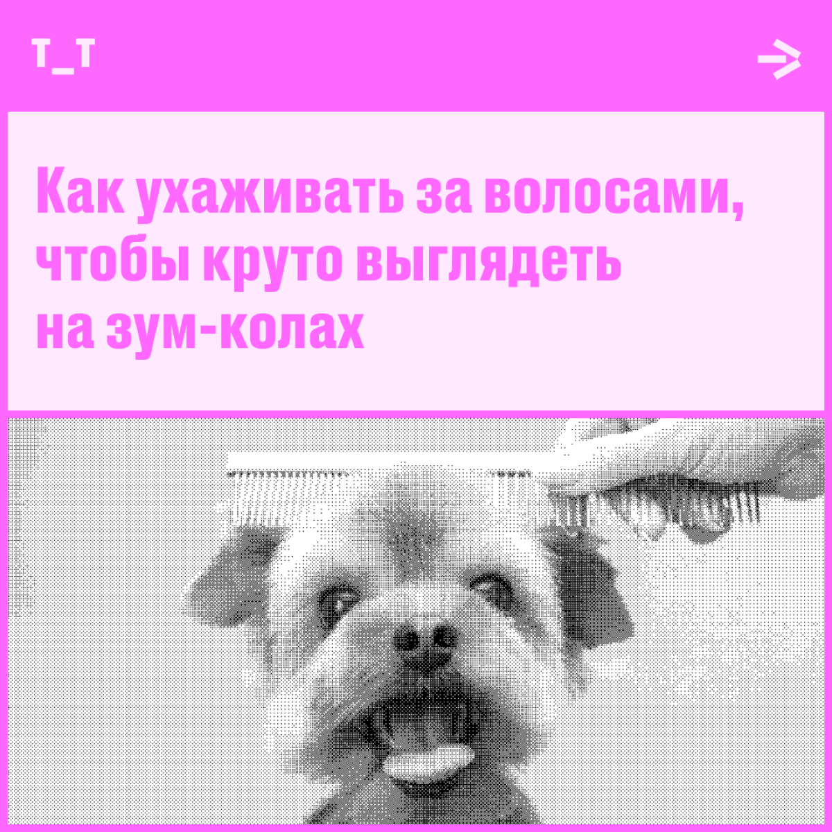 За волосами можно спрятать бессонные ночи и усталость от бесконечных правок. Спасибо удалёнке и зум-колам. А если волос нет, на помощь приходят обаяние и харизма, ну или котик — у кого что есть | Сетка — социальная сеть от hh.ru