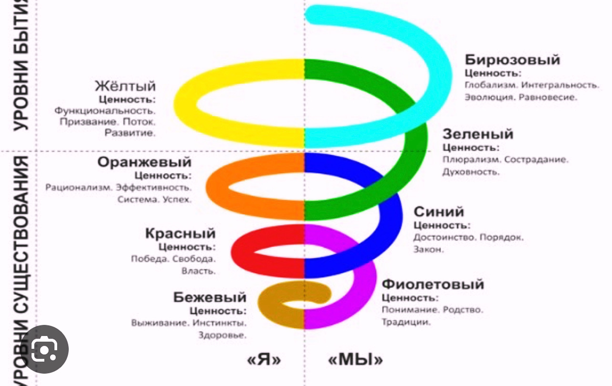 Спиральная динамика и интегральная психология, основанная на анализе сиблинговых и родовых систем - это must have для каждого, кто хочет успешный и прибыльный старт ап. А какого ты цвета? | Сетка — социальная сеть от hh.ru