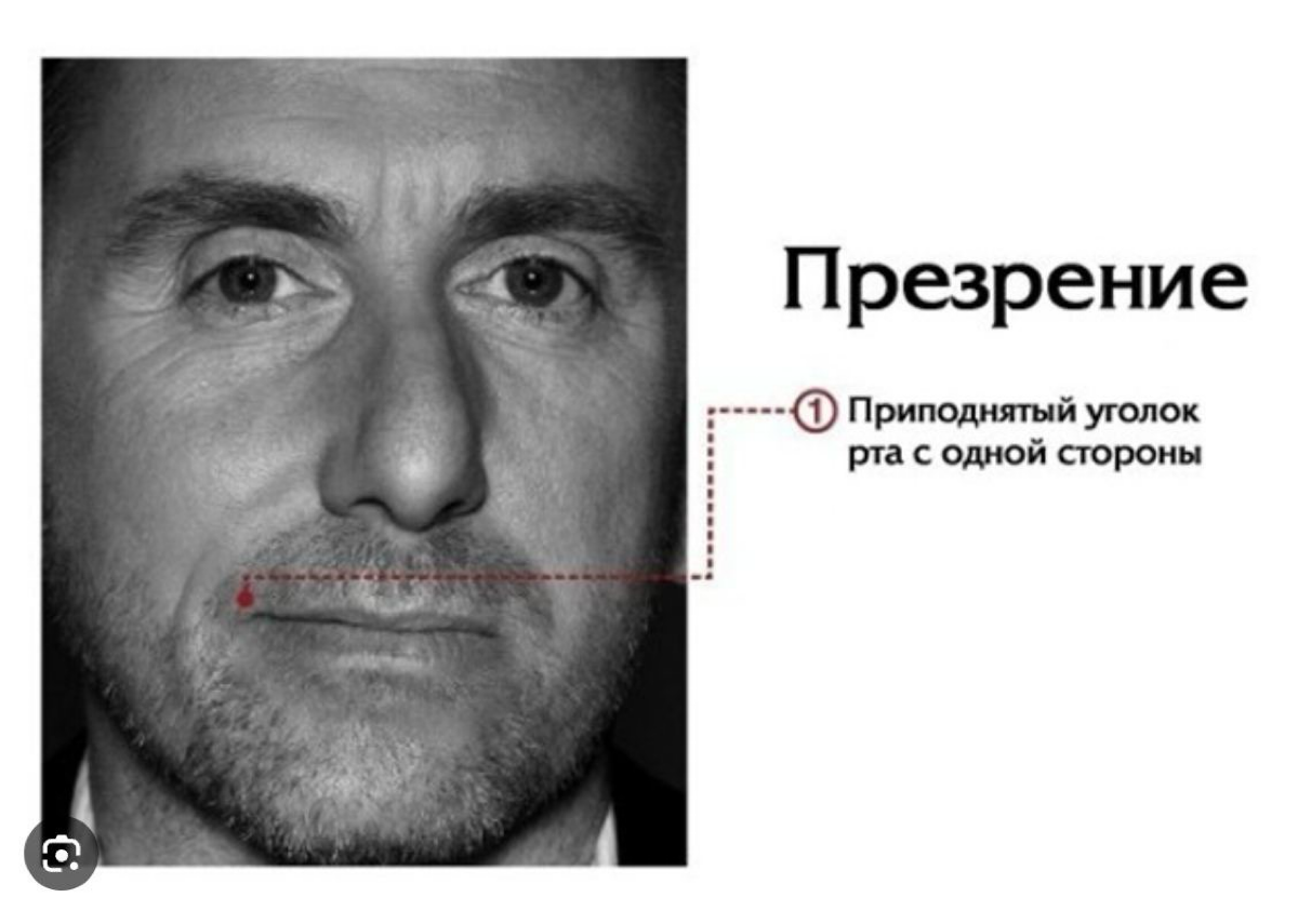 Немного об эмоции
Презрение считается одной из самых опасных эмоций для отношений.
Презрение является эмоцией, близкой по природе к отвращению | Сетка — социальная сеть от hh.ru