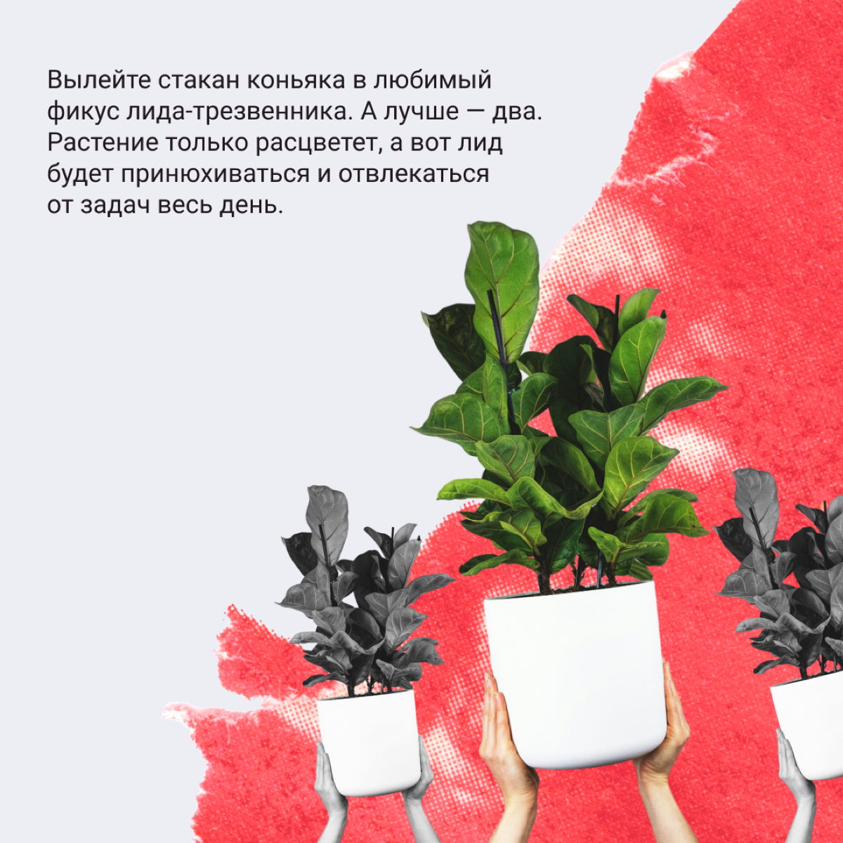 Как выпустить пар, когда работаешь в офисе | Сетка — социальная сеть от hh.ru