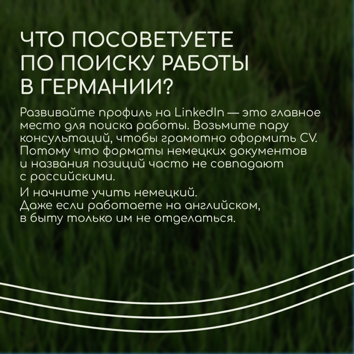 Саша Тарелкин переехал в Германию по работе — он делает 3D-иллюстрации и интерактивные инсталляции для арт-проектов, выставок и шоу | Сетка — социальная сеть от hh.ru