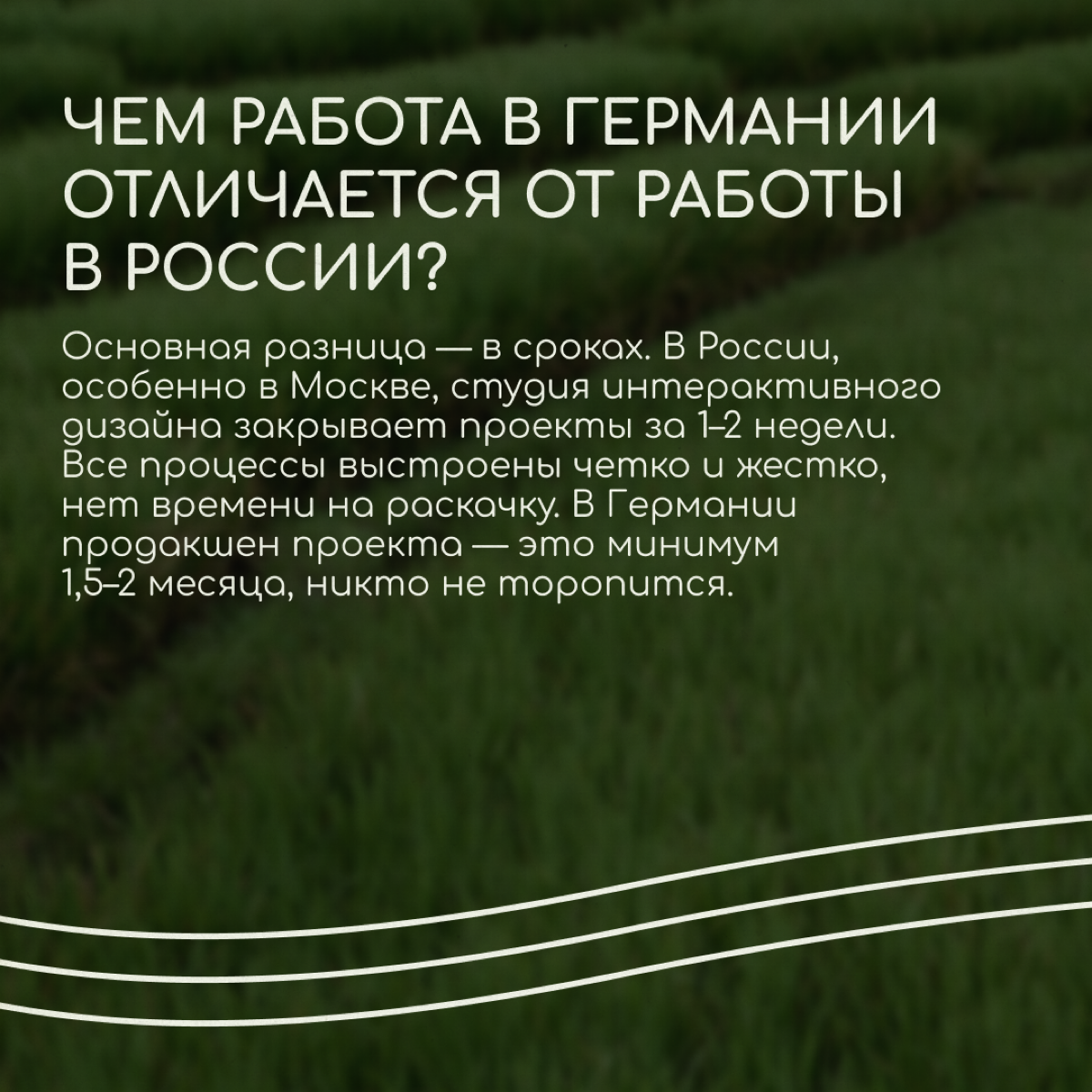 Саша Тарелкин переехал в Германию по работе — он делает 3D-иллюстрации и интерактивные инсталляции для арт-проектов, выставок и шоу | Сетка — социальная сеть от hh.ru