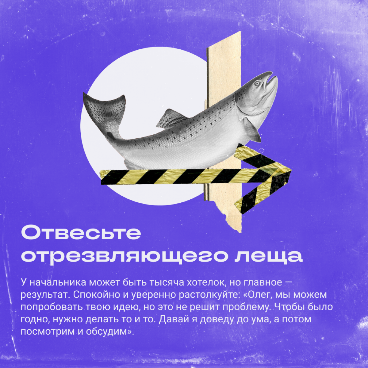 Синдром бога: как работать с начальником-всезнайкой | Сетка — социальная сеть от hh.ru