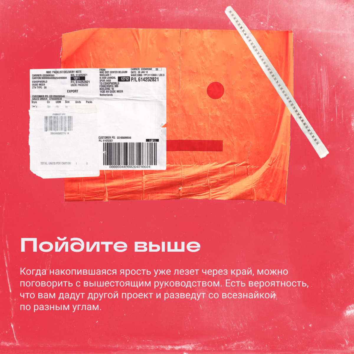 Синдром бога: как работать с начальником-всезнайкой | Сетка — социальная сеть от hh.ru