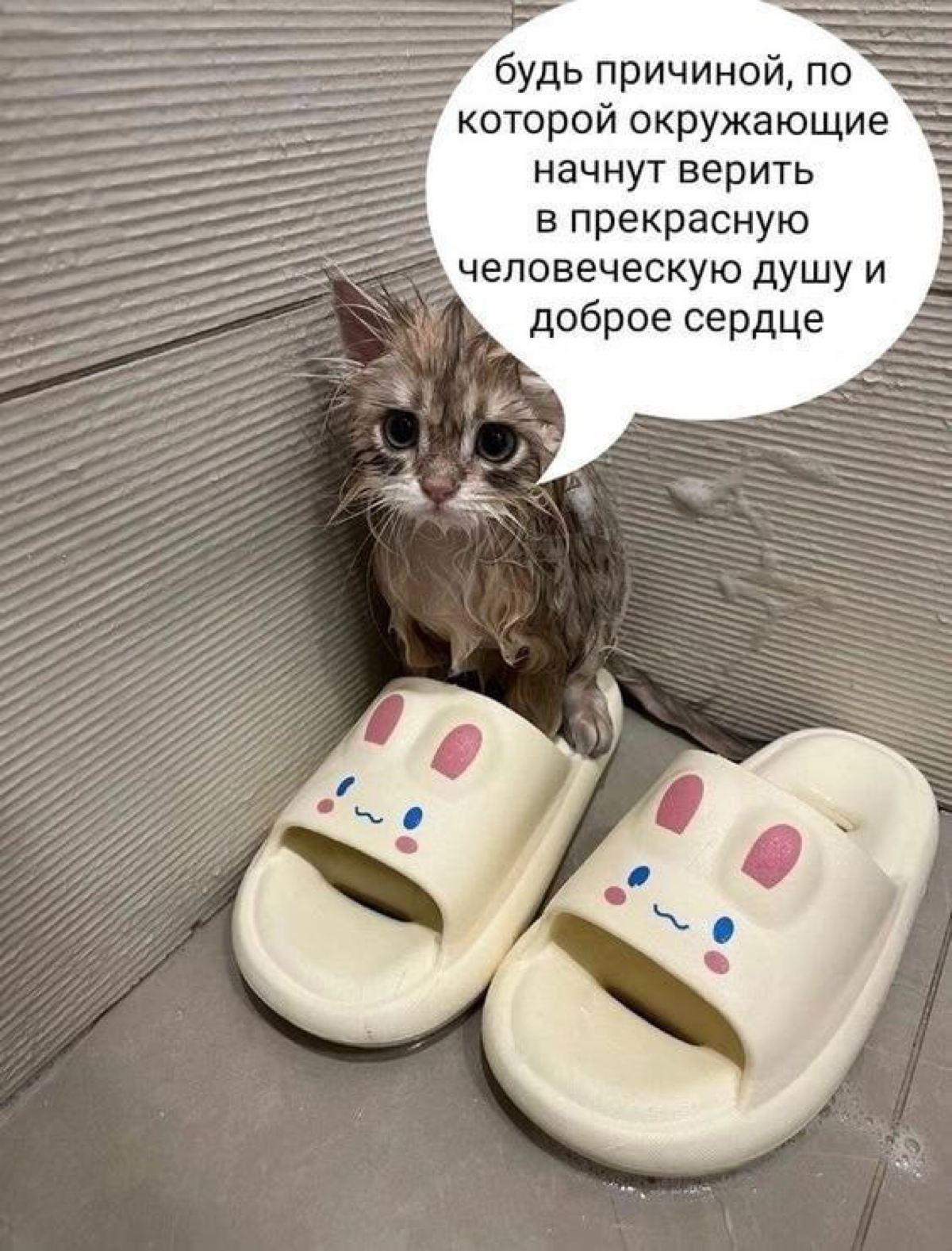 Кто поддержит комьюнити-менеджера? | Сетка — социальная сеть от hh.ru