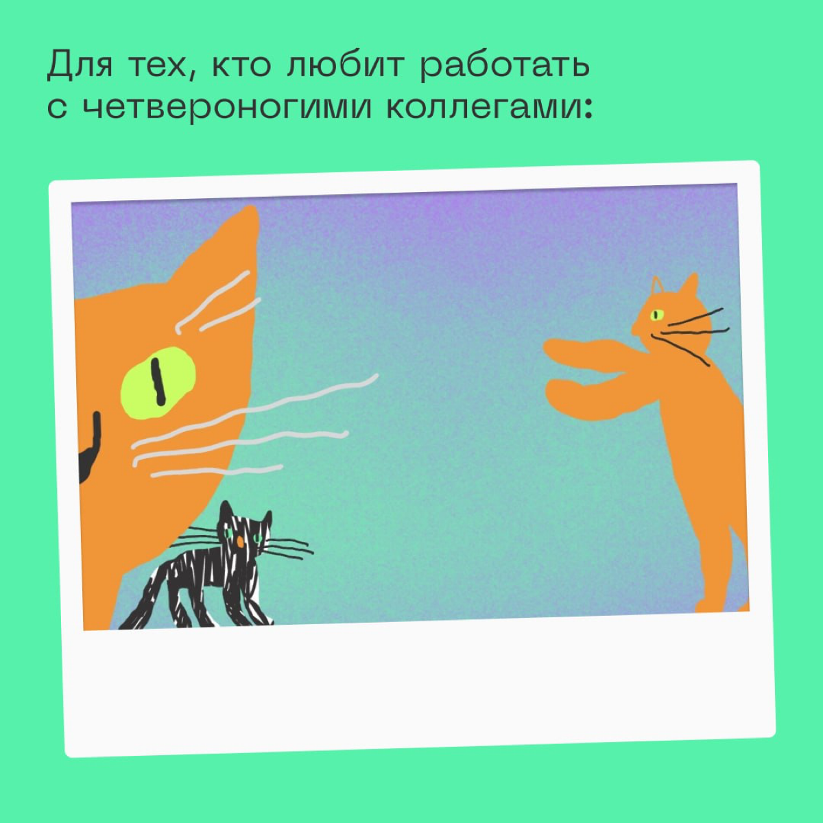 🗡 Если хотите стать главной звёздочкой на онлайн-звонках, скачивайте и устанавливайте фоны: https://disk.yandex.ru/d/DpQvAHktK87XWQ 
Коллеги точно оценят. | Сетка — социальная сеть от hh.ru