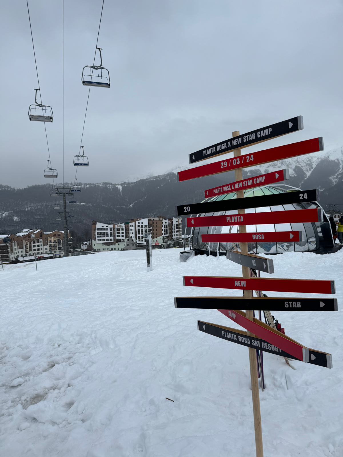 Planta Rosa & New Star Camp | Сетка — социальная сеть от hh.ru