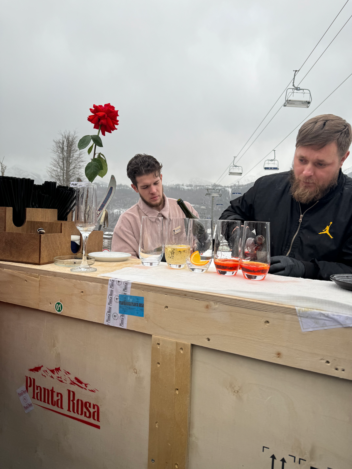 Planta Rosa & New Star Camp | Сетка — социальная сеть от hh.ru